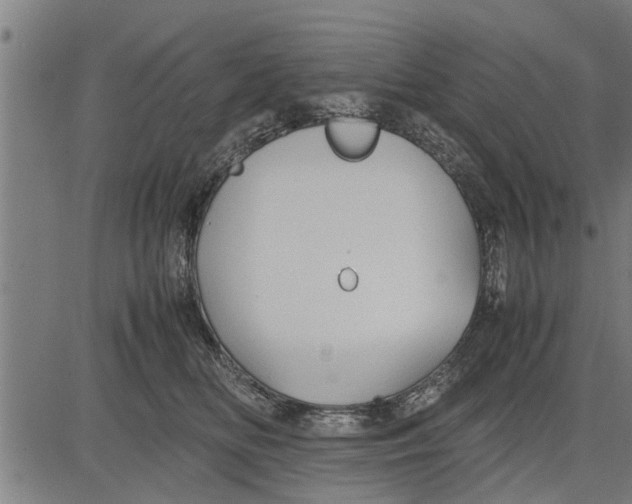 X0000081450518200702021745