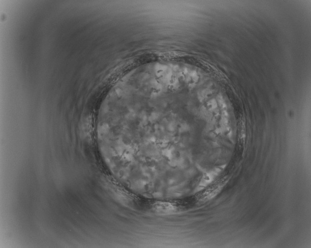 X0000081450519200702021745