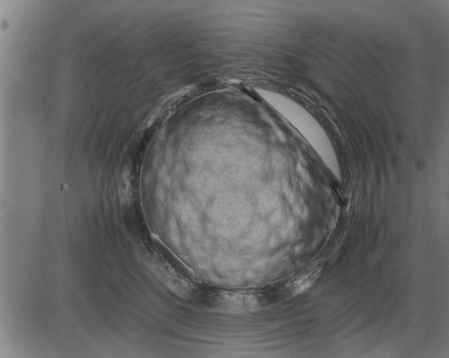 X0000081450520200702021745