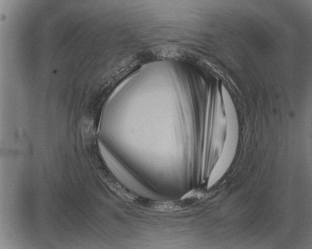 X0000081450521200702021745