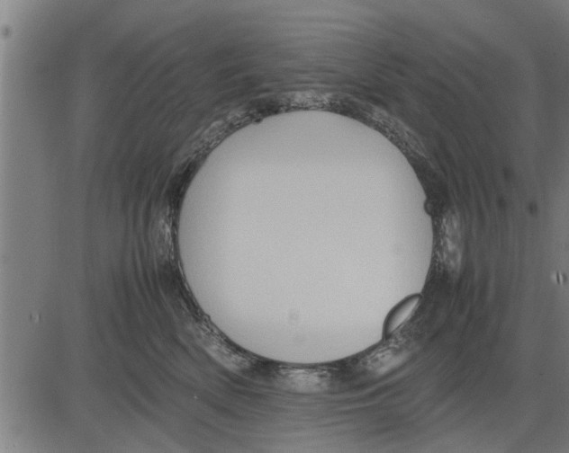 X0000081450522200702021745