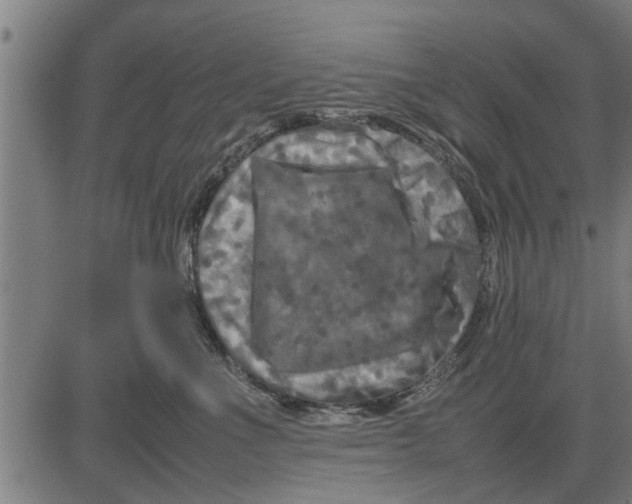 X0000081450523200702021745