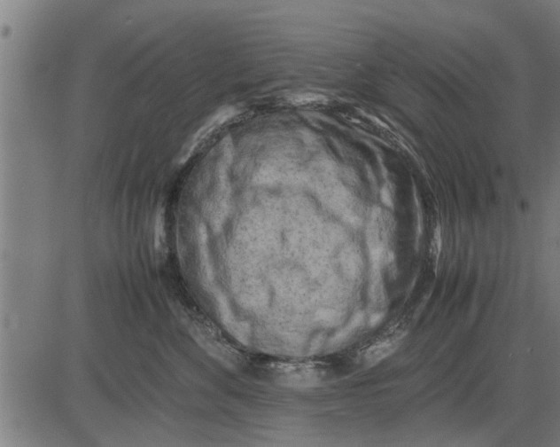 X0000081450524200702021745