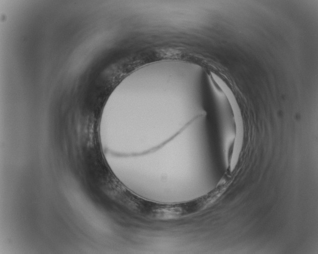 X0000081450525200702021745