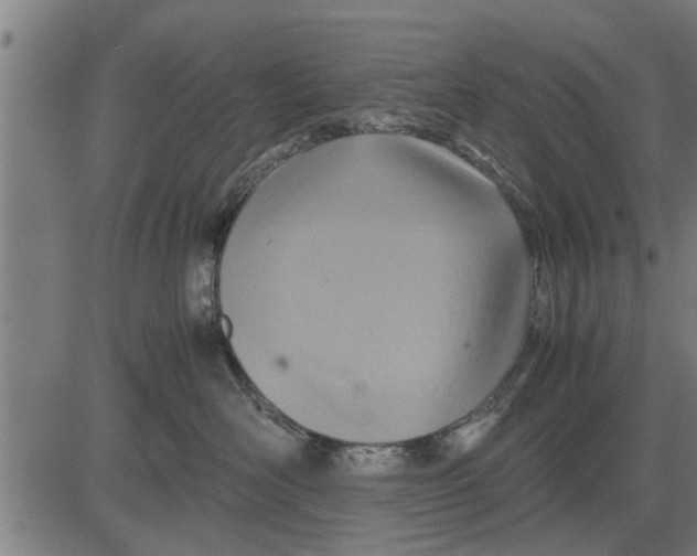 X0000081450526200702021745