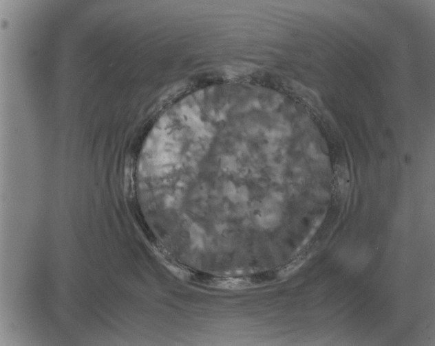 X0000081450527200702021745