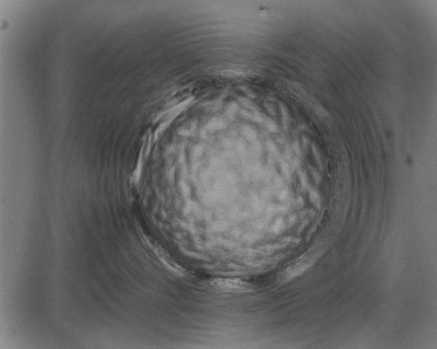 X0000081450528200702021745