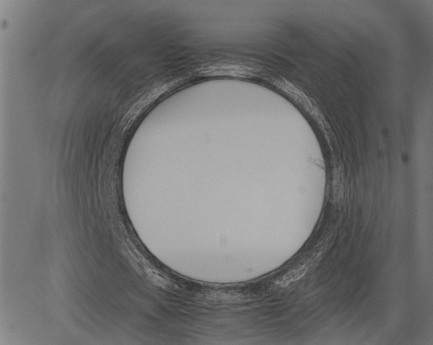 X0000081450529200702021744