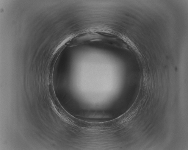 X0000081450530200702021744