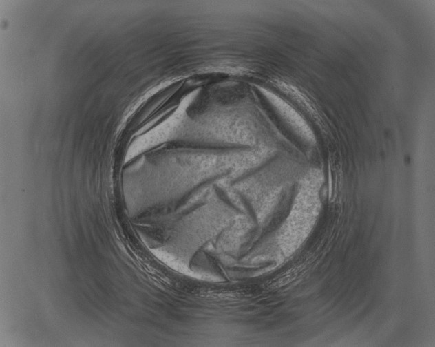 X0000081450531200702021744