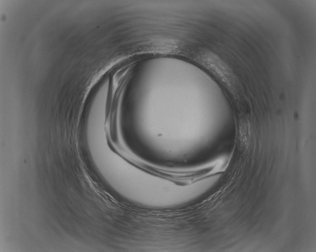 X0000081450532200702021745