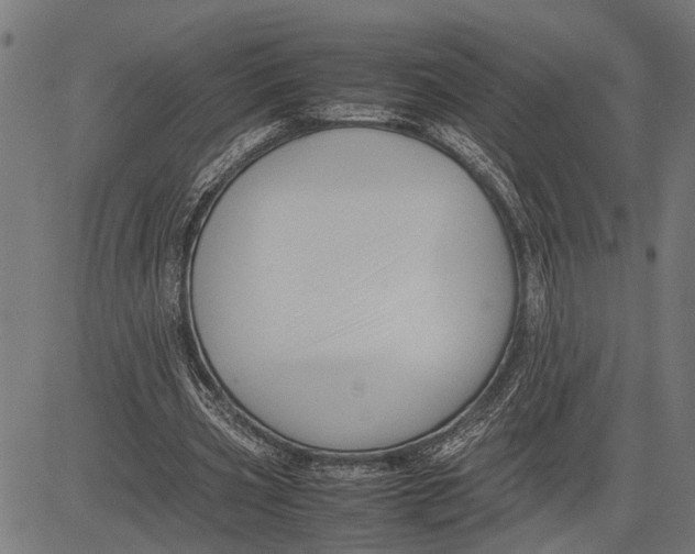 X0000081450533200702021745