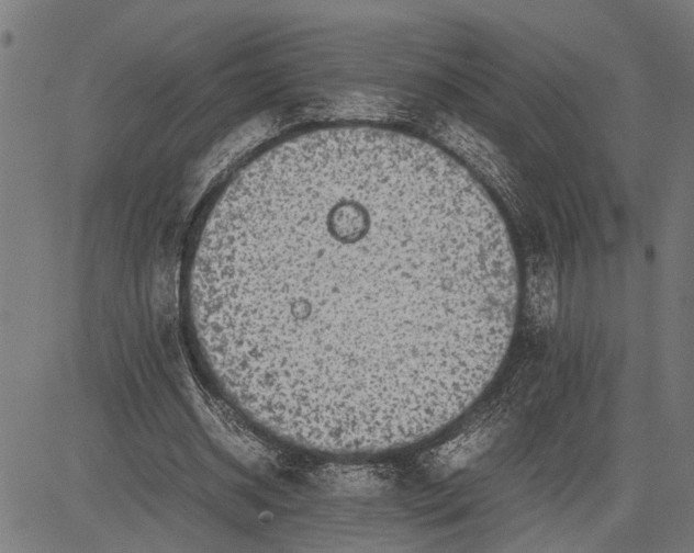 X0000081450534200702021745