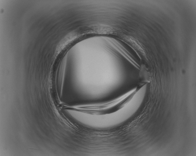 X0000081450536200702021745