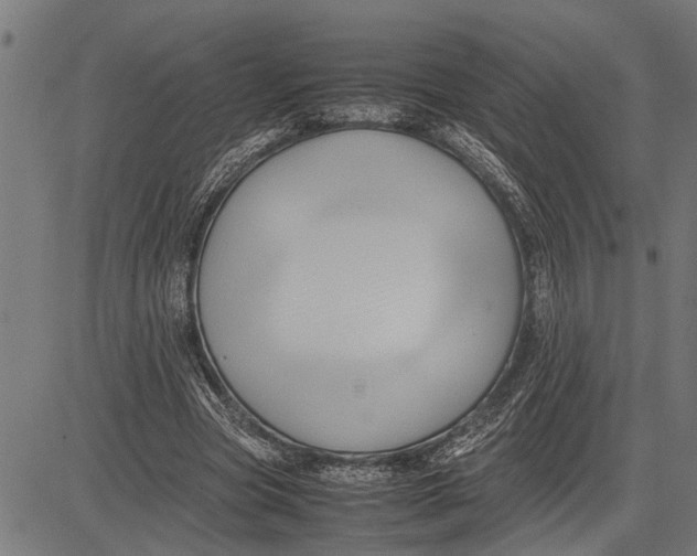 X0000081450537200702021745