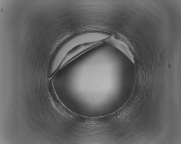 X0000081450538200702021745