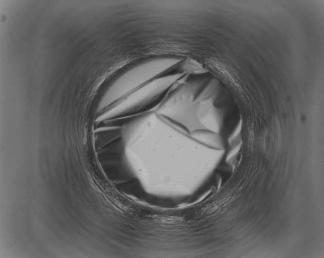 X0000081450539200702021745