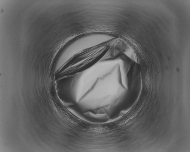 X0000081450540200702021745