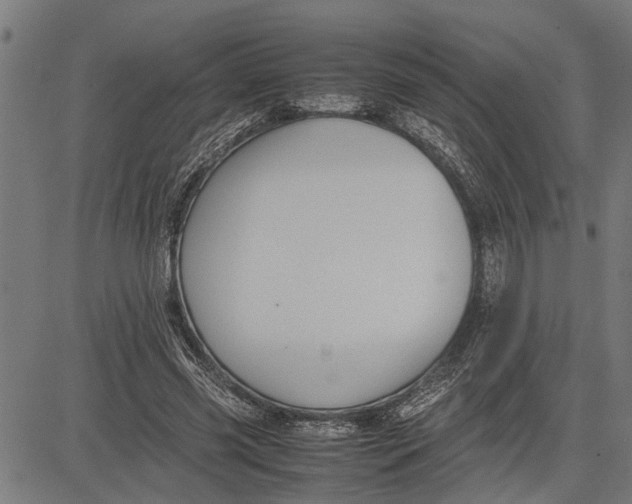 X0000081450541200702021745