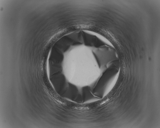 X0000081450543200702021745