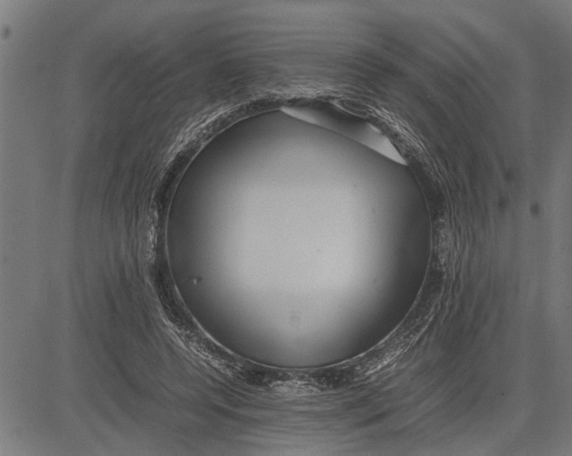 X0000081450544200702021745