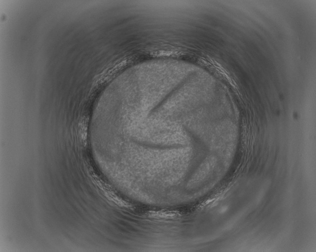 X0000081450545200702021745