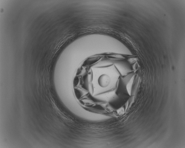 X0000081450546200702021745