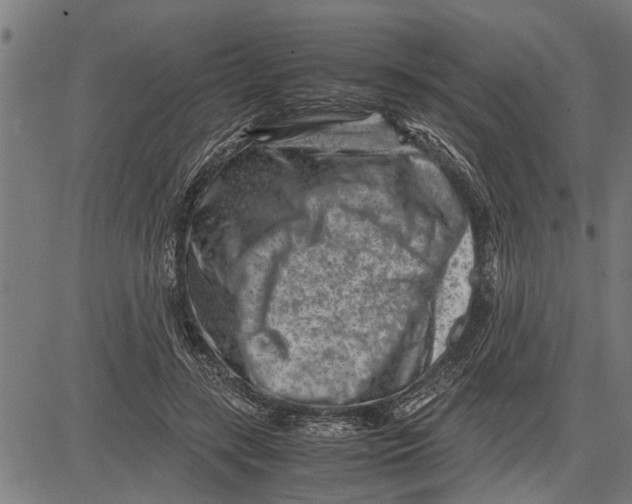 X0000081450547200702021745