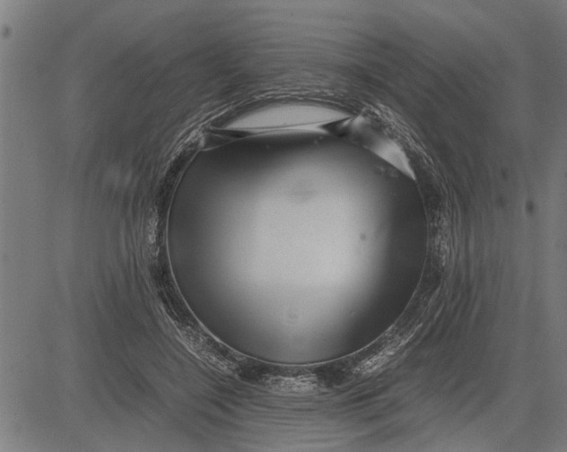 X0000081450548200702021745