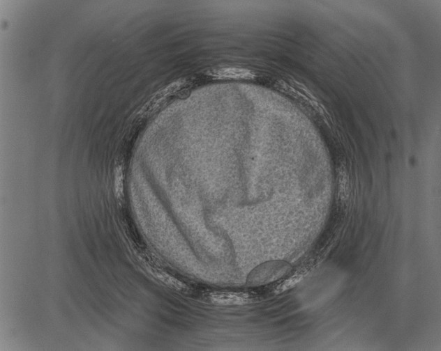 X0000081450549200702021745