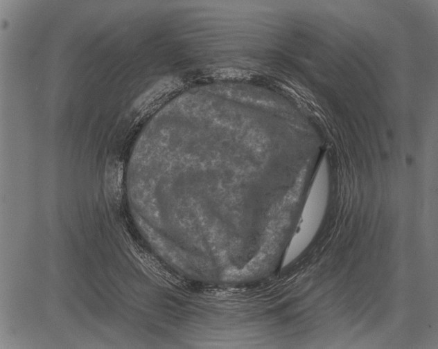 X0000081450550200702021745