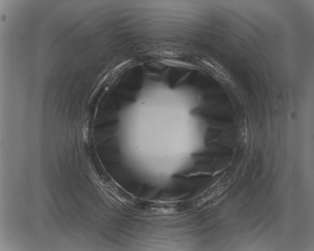 X0000081450552200702021745