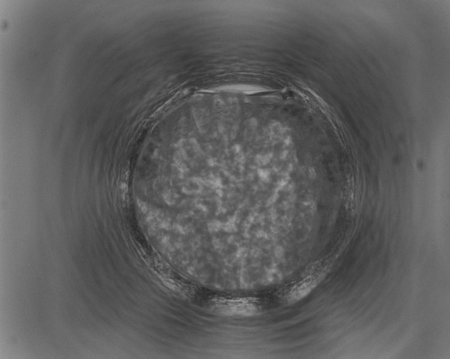 X0000081450553200702021745