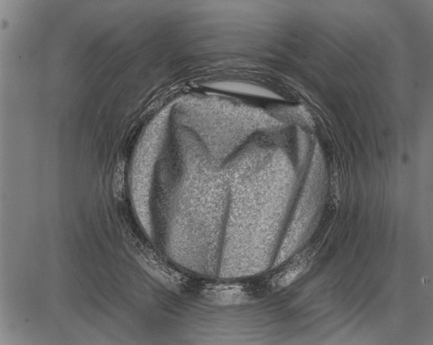 X0000081450554200702021745