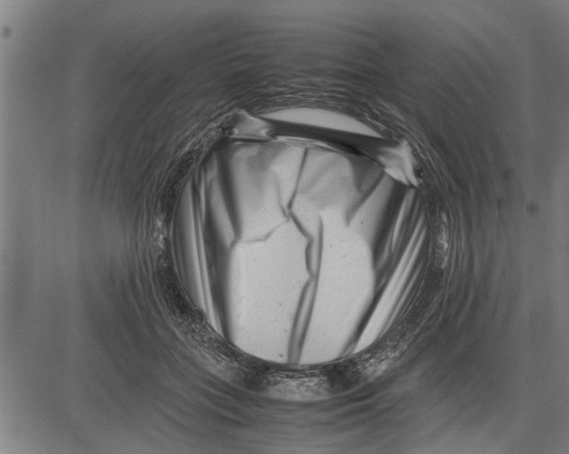 X0000081450555200702021745