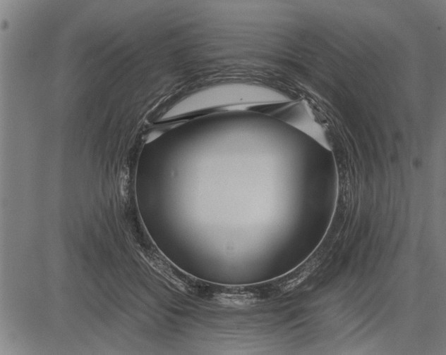 X0000081450556200702021745