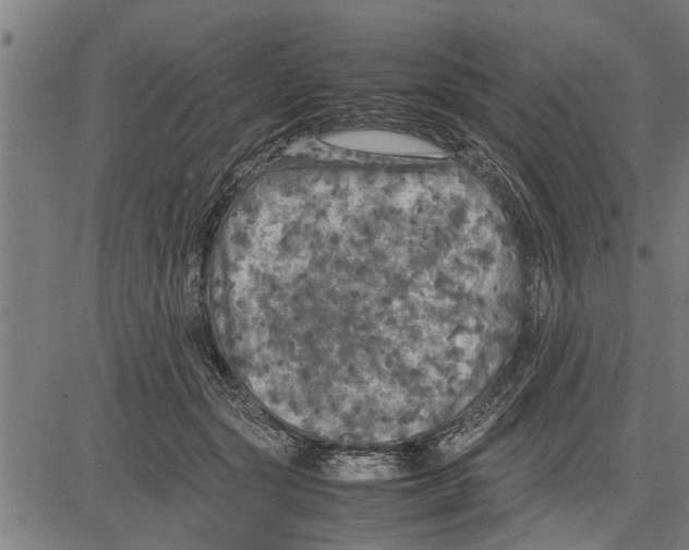 X0000081450557200702021745