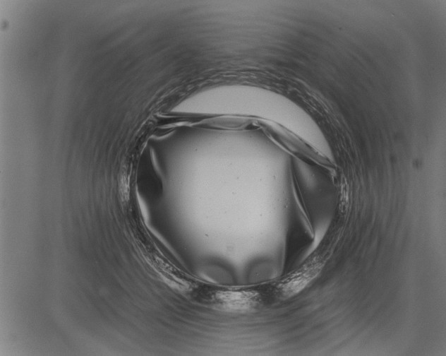 X0000081450558200702021745