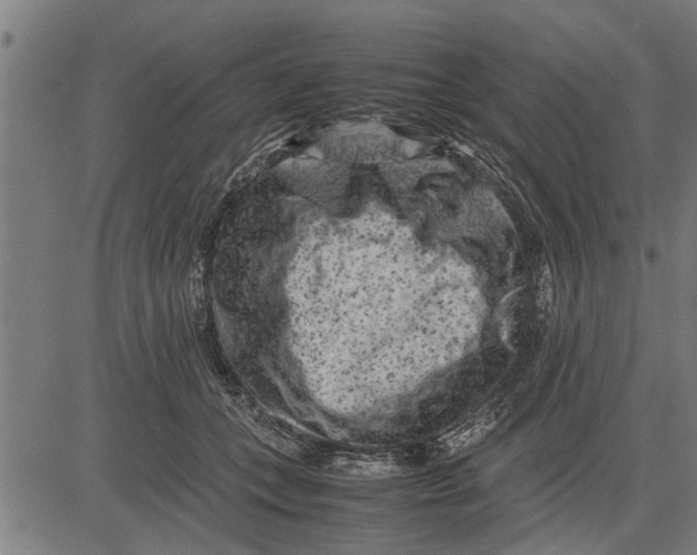 X0000081450559200702021745