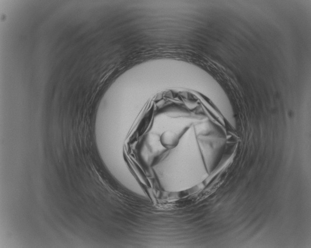 X0000081450560200702021745