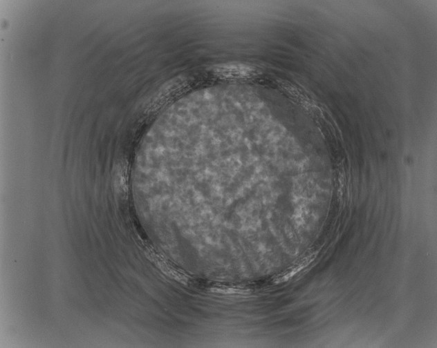 X0000081450561200702021745