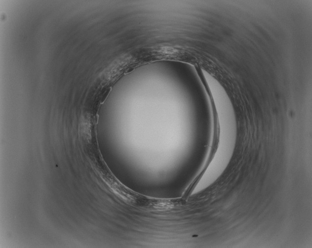 X0000081450562200702021745