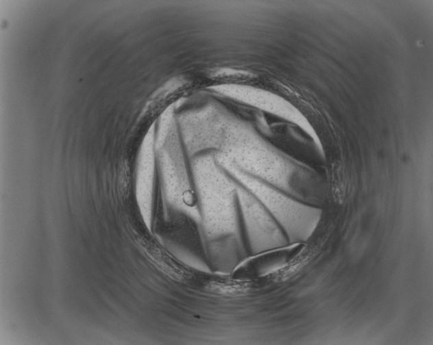 X0000081450563200702021745