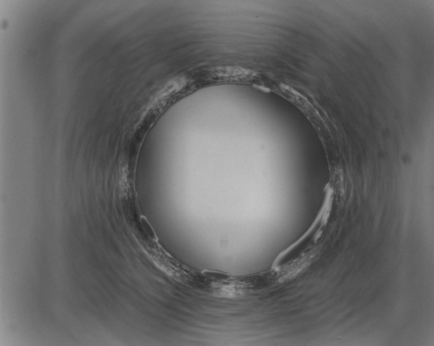 X0000081450564200702021745