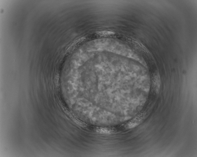 X0000081450565200702021745