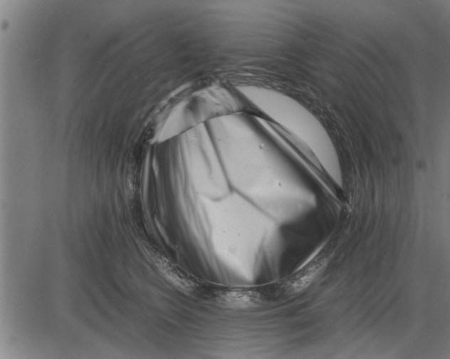 X0000081450566200702021745