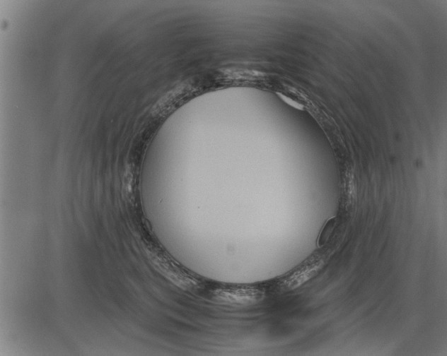 X0000081450567200702021745