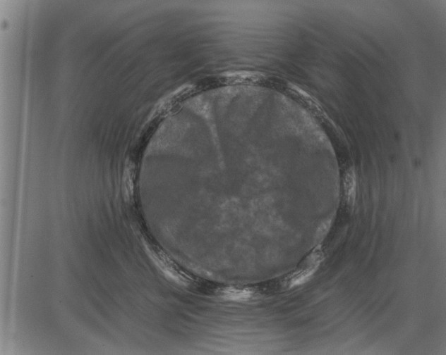 X0000081450570200702021745