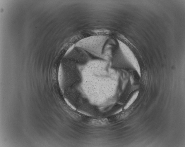 X0000081450571200702021745