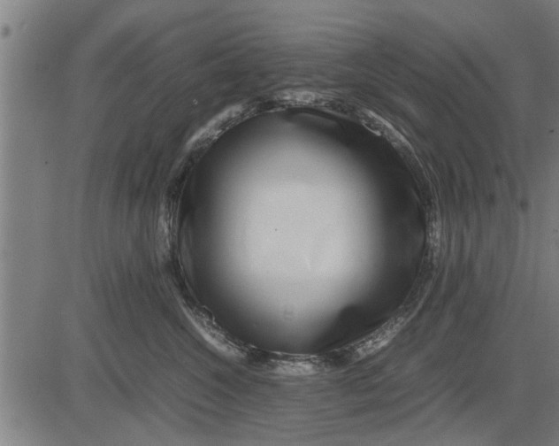 X0000081450572200702021745